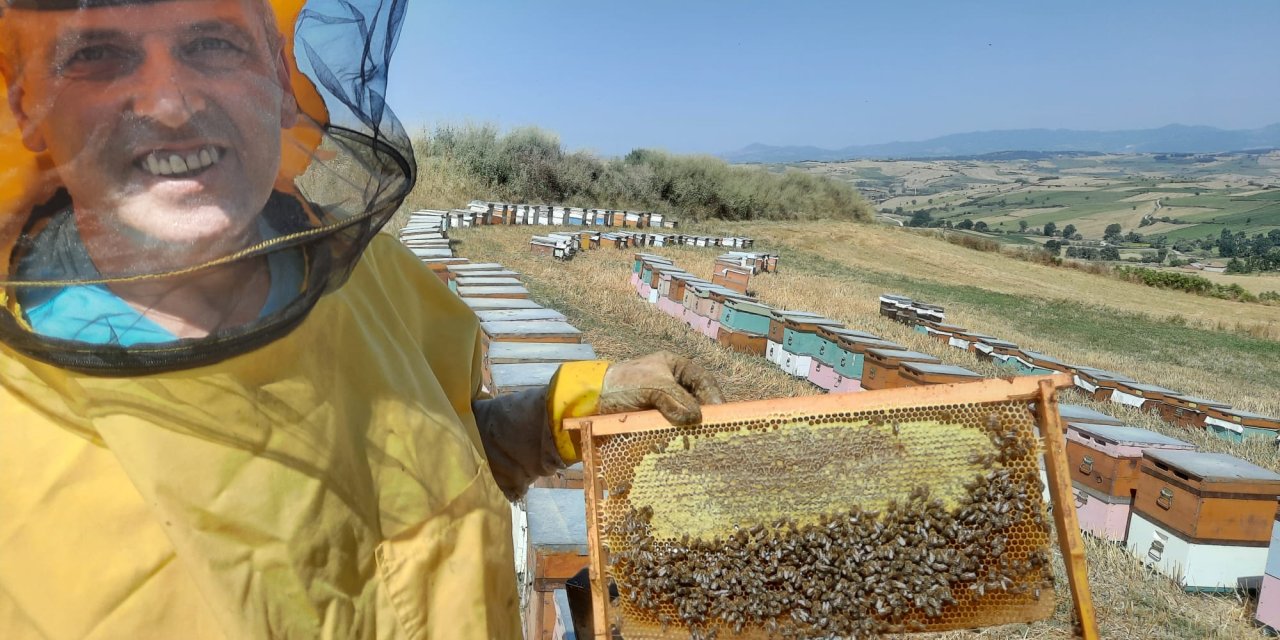 Samsun’da Yetiştirdiği Kestane Balı İle Ülkesi Bosna Hersek’te Altın Madalya Kazandı