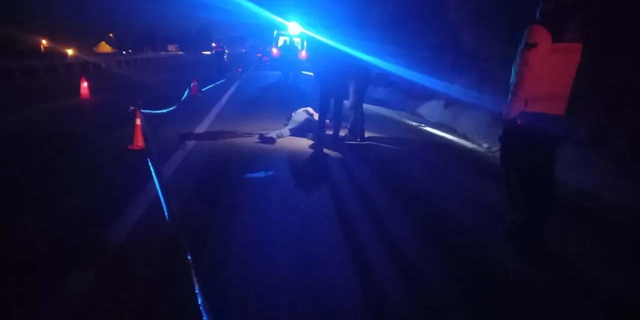 Yayaya çarparak ölümüne neden olan ve olay yerinden kaçan minibüs sürücüsü yakalandı