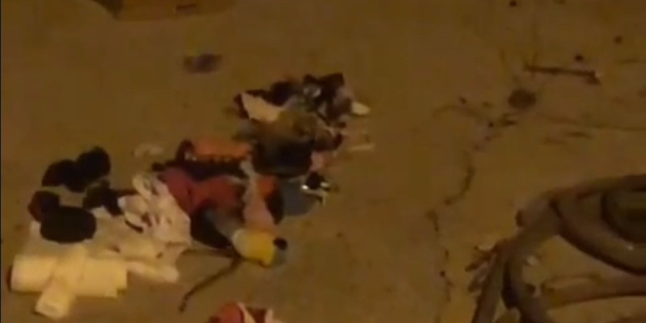 Hatay’da Konteyner Evde Çekmeceden Çıkan Yılan Korkuttu