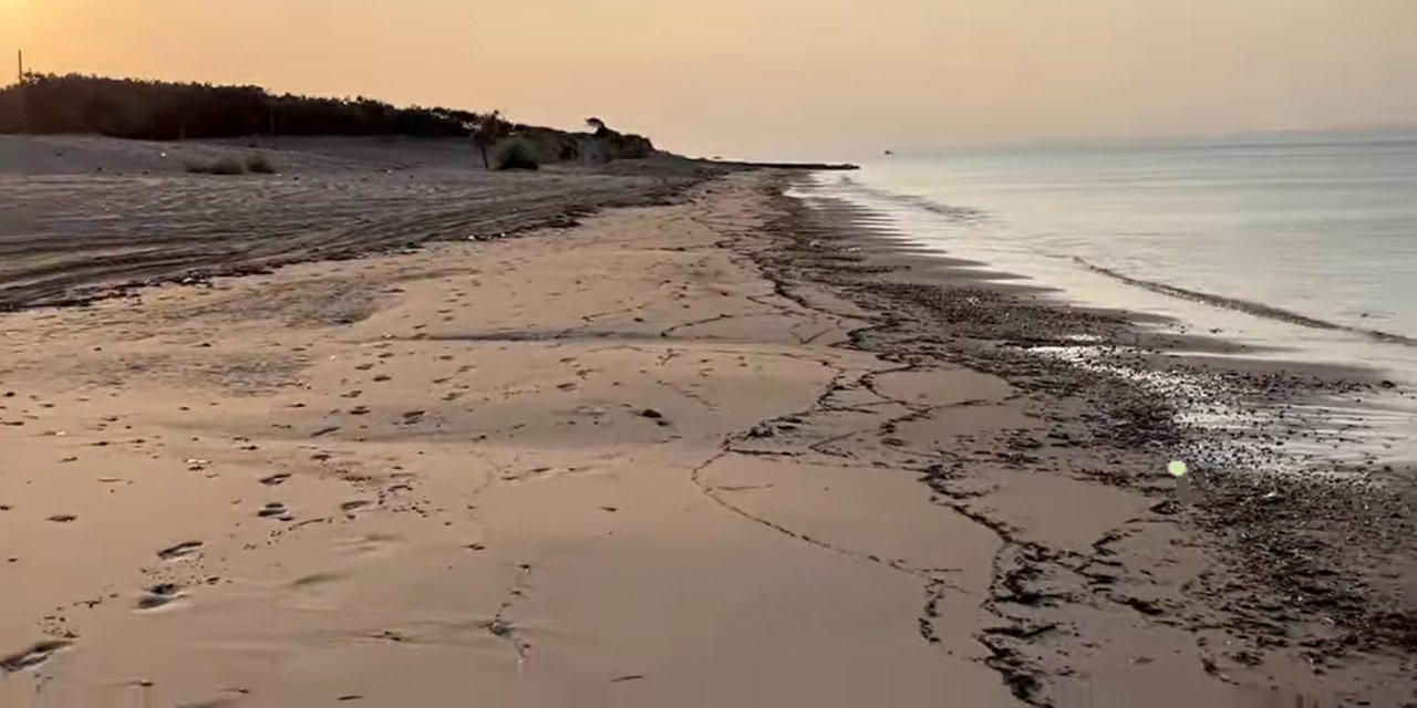 Çanakkale Yangınının İzleri, Edirne Kıyılarında