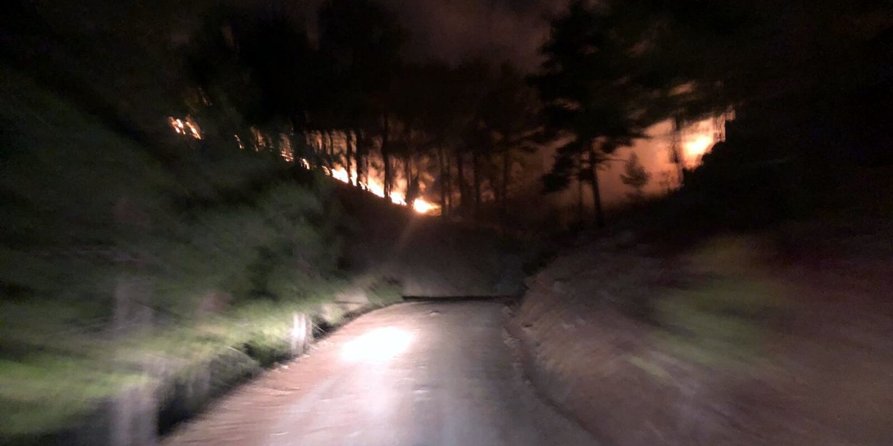 Muğla'da 3 Hektar Orman Yandı