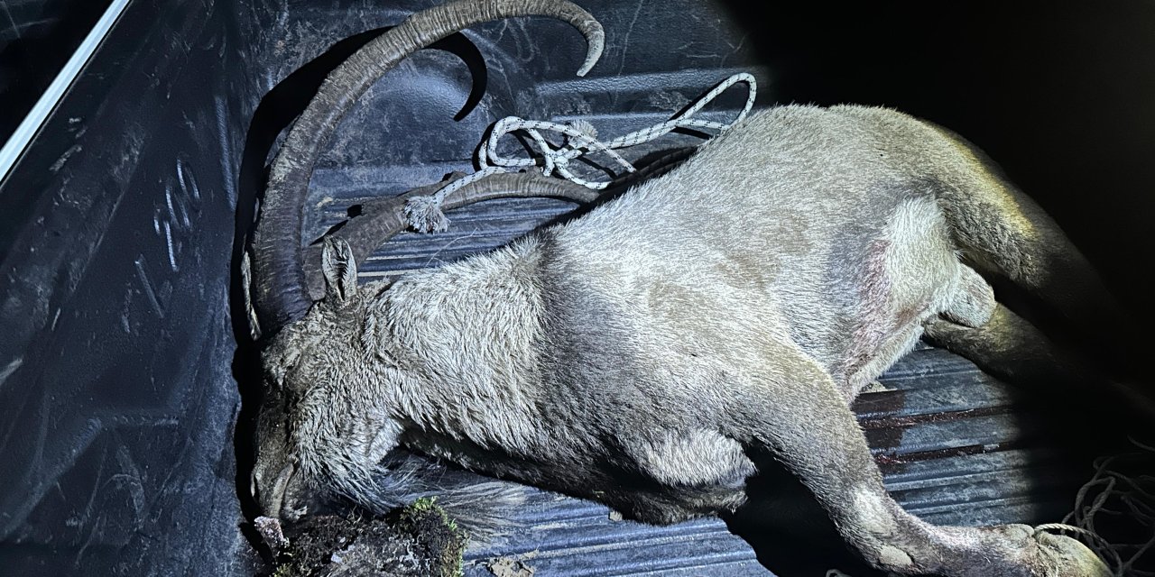 Yaban keçisi avlayan İYİ Parti milletvekili ile 3 kişiye 700 bin TL ceza