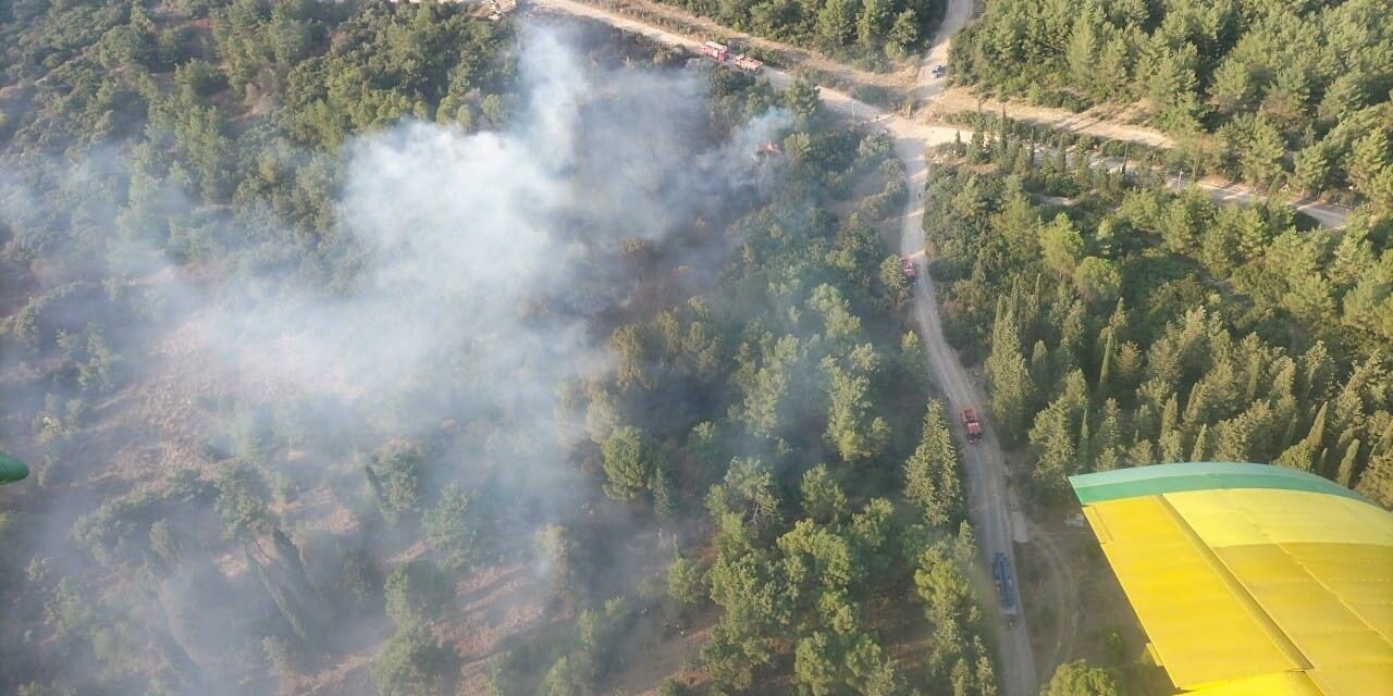 İzmir'deki Orman Yangını Söndürüldü