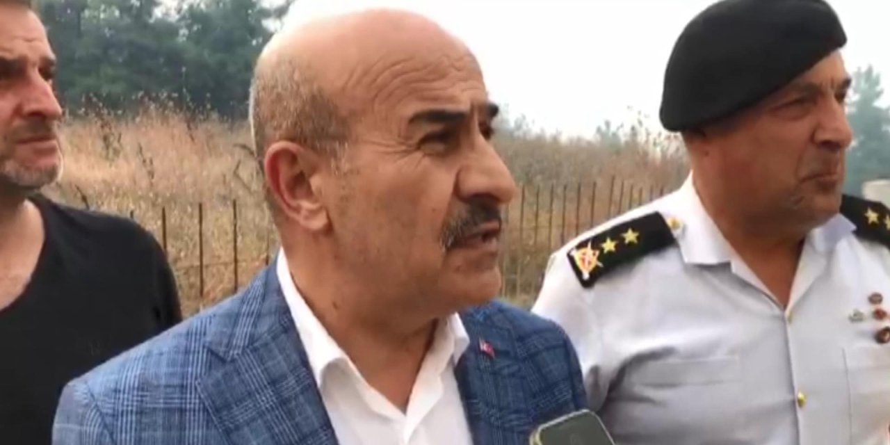 Bursa'da Orman Yangını (2)