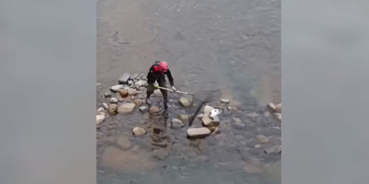 Rize İtfaiyesi, Derede Mahsur Kalan Kedinin Hayatını Kurtardı