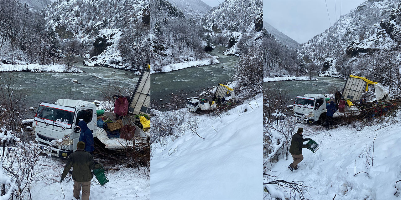 Artvin'de meyve yüklü kamyonet, dereye yuvarlandı; 1 yaralı
