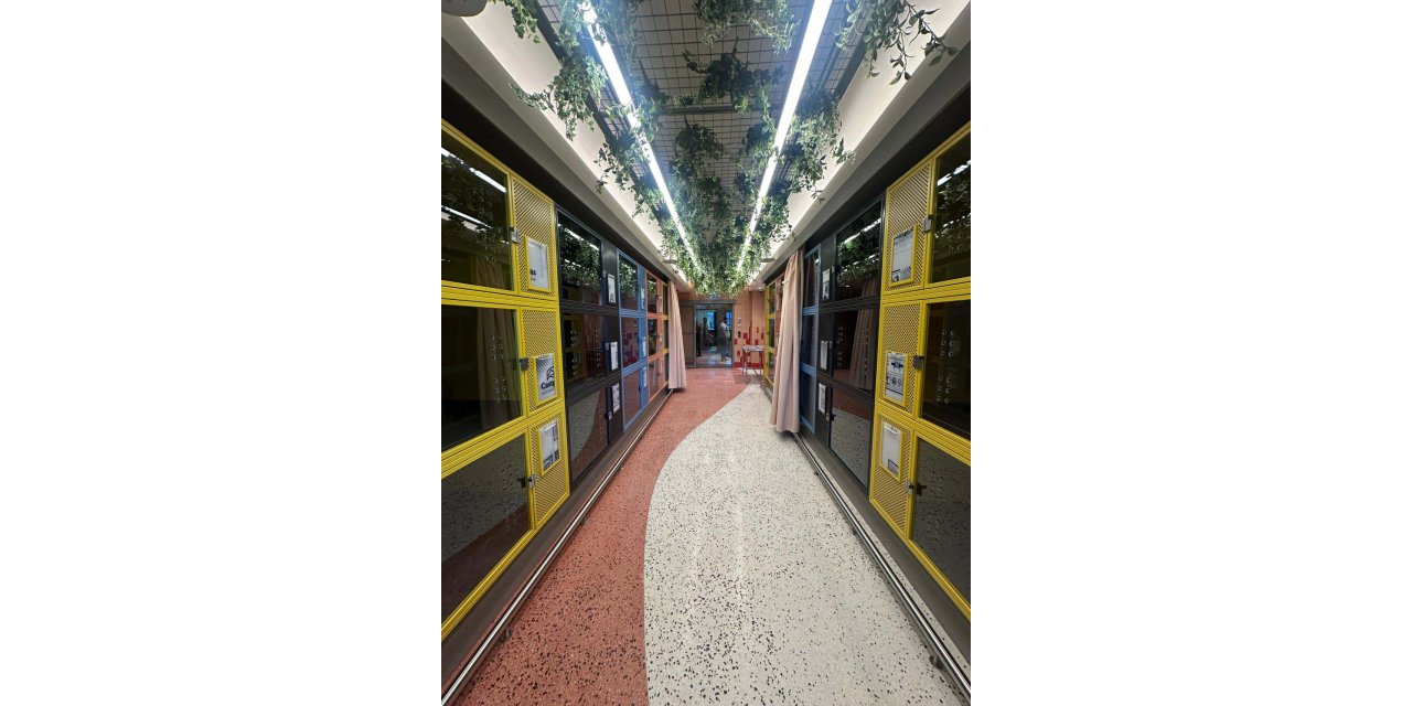 THY, İstanbul Havalimanı’nda "Pet Lounge" hizmetini başlattı