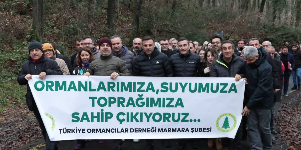 İstanbul - CHP İl Başkanı Çelik:  Belgrad Ormanı Büyükşehir Belediyesine yeniden devredilmelidir