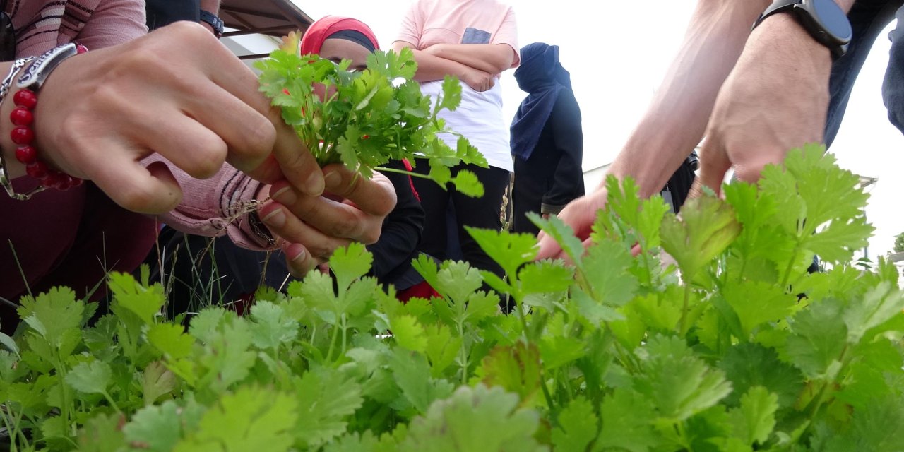 Hobi Bahçesindeki Hasadı, Lunaparkta Çarpışan Oto Ve Dönme Dolapla Kutladılar