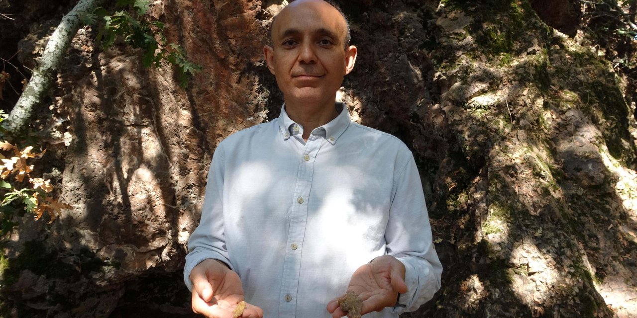 86 Bin Yıllık İnkaya Mağarası'nda Orta Paleolitik Döneme Ait Saplı Alet Uçları Bulundu