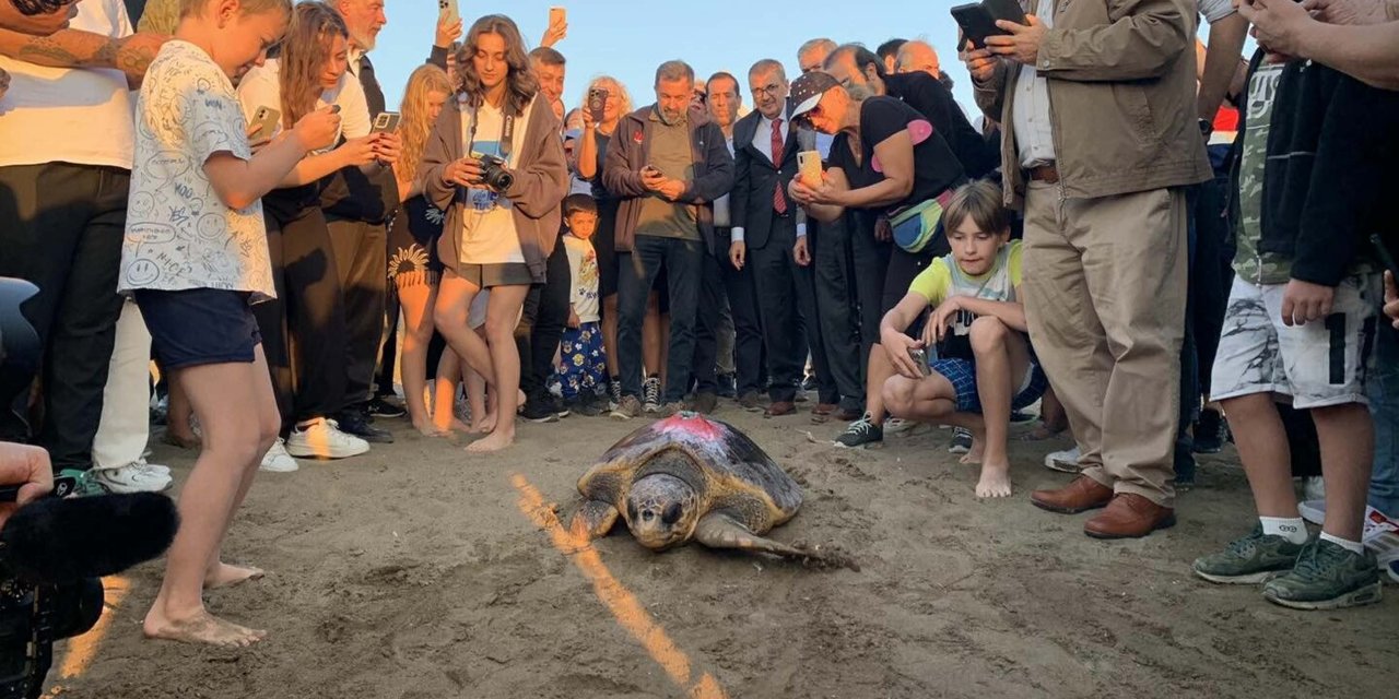 Caretta Caretta 'cumhuriyet'i 2 Ayda 2 Bin Kişi İzledi