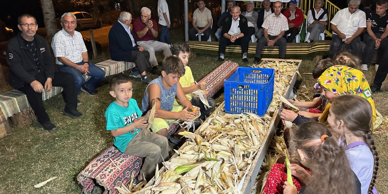 Bartın'da 200 Yıllık Gelenek; 4 Saat Boyunca Topluca Mısır Soydular