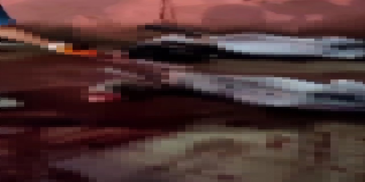 Adana'da Depoda 12 Kesilmiş, 2 Kesilmemiş Eşek; 6 Da At Ele Geçirildi