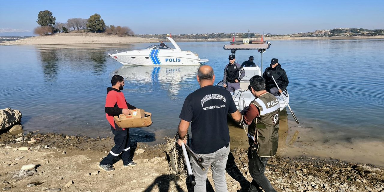 Sevgi Adası'nda mahsur kalan 6 yavru köpek, polis botuyla kurtarıldı