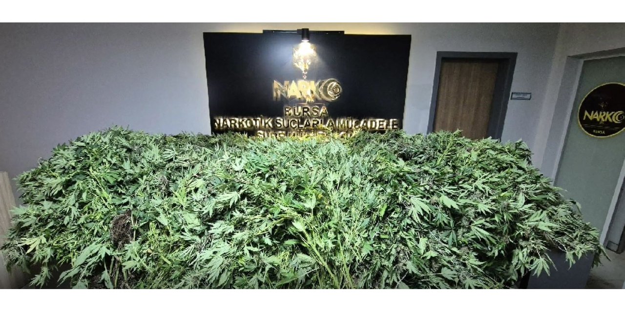 3 katlı binada kenevir yetiştirip uyuşturucu imal eden 5 kişiye gözaltı