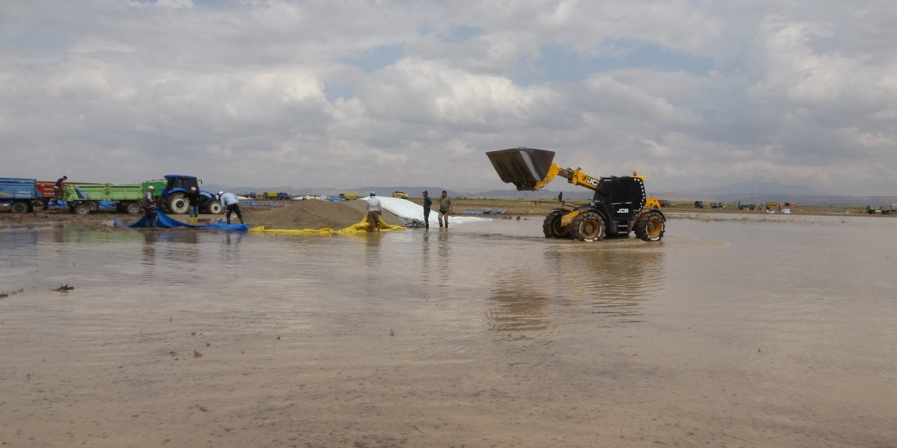 Aksaray'da Yağmur Ve Dolu, Çerezlik Ayçiçeğini Vurdu