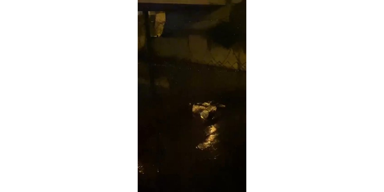 Kuzey Marmara Otoyolu'nda meydana gelen kazada hafriyat kamyonu dereye uçtu: 3 yaralı