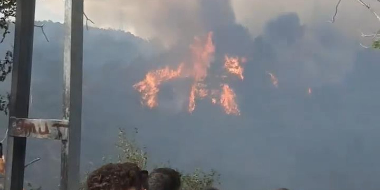 (Ek Fotoğraf) Sultangazi Kent Ormanı'nda Yangın