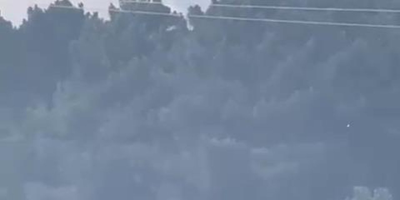 Sultangazi Kent Ormanı'nında Yangın Çıkarıp Kaçtılar İddiası