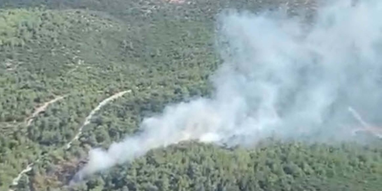 İzmir'de Orman Yangını