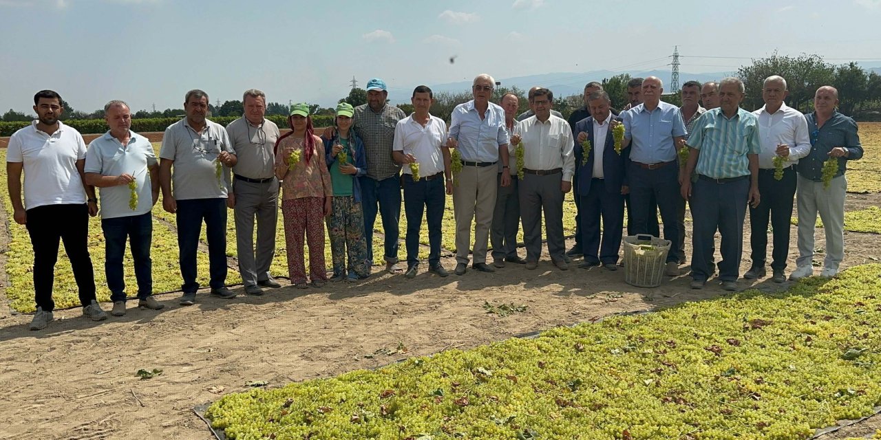 Bayraktar: Türkiye, Dünyada Kuru Üzüm Üretiminde 1'inci Sırada