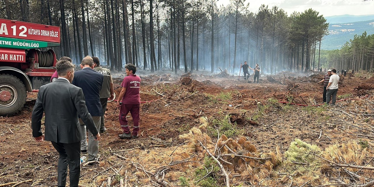 Kütahya’da Orman Yangını (2)