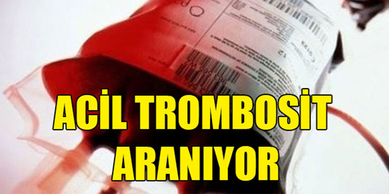 Acil A Rh (+) Trombosit Kan Aranıyor