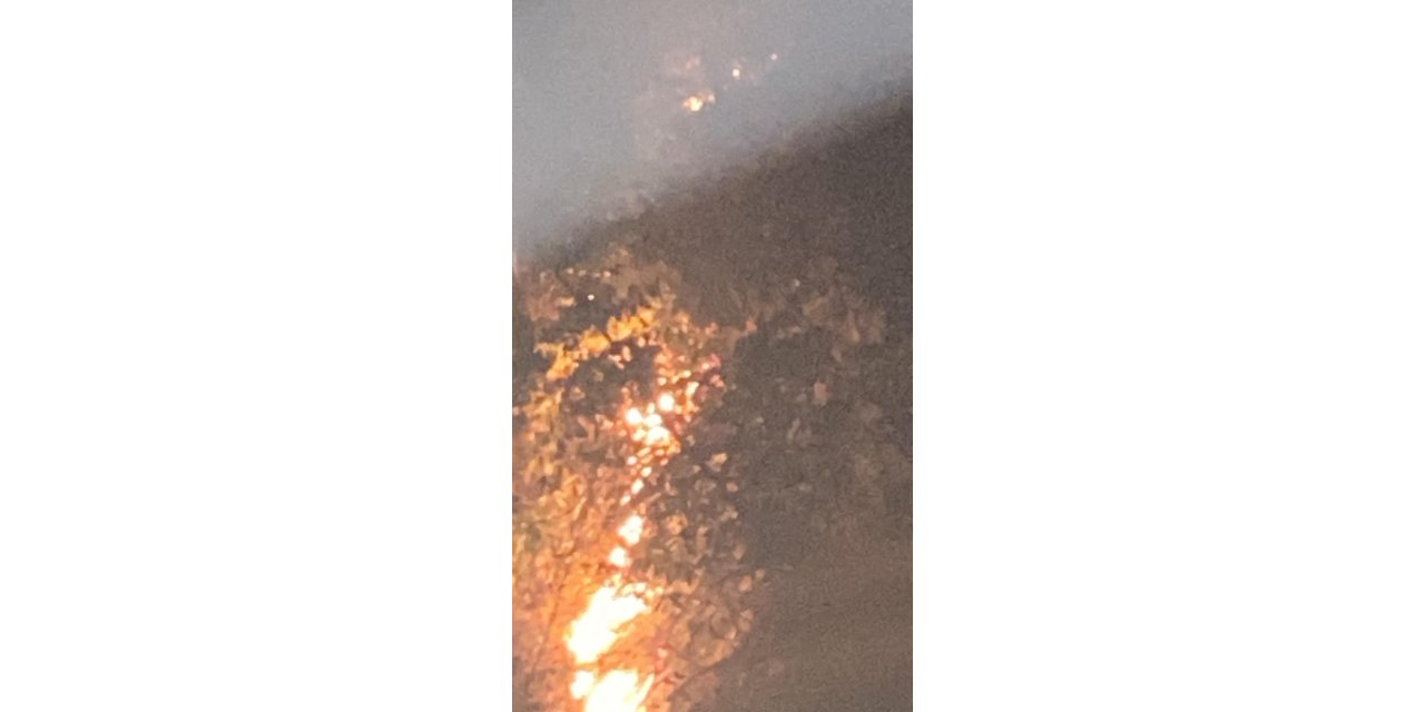 Rize’de anız ateşi ormana sıçradı