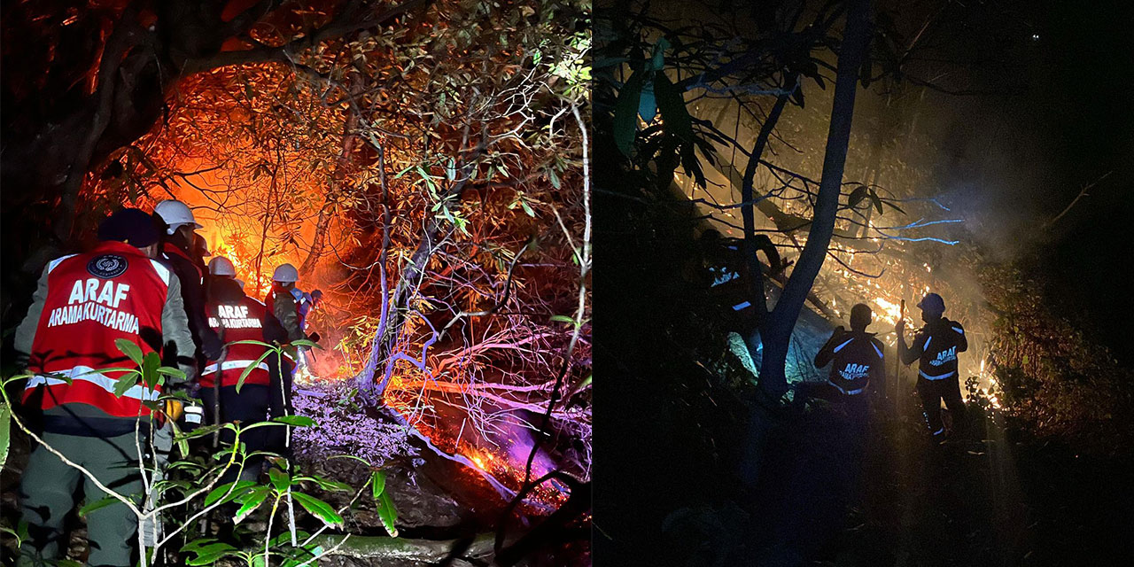 Rize'de anız yangını ormana sıçradı; 15 dönüm alan zarar gördü