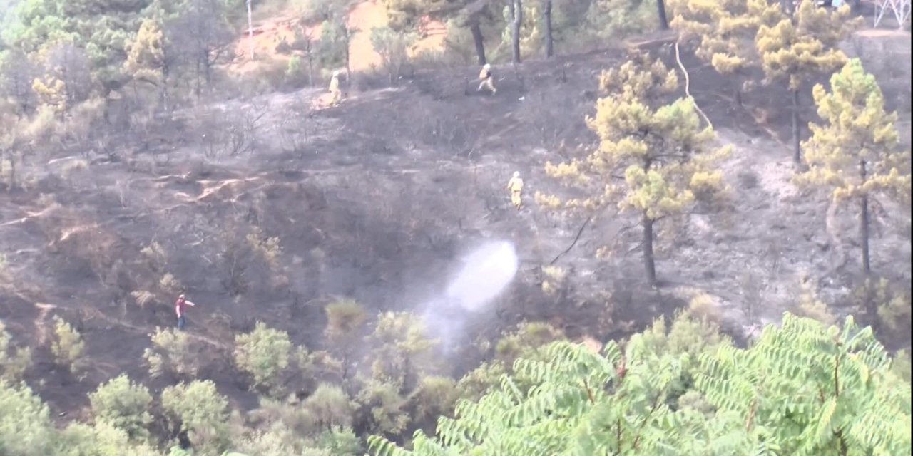 Sultangazi Kent Ormanı'nda Çıkan Yangında Sabotaj İddiası