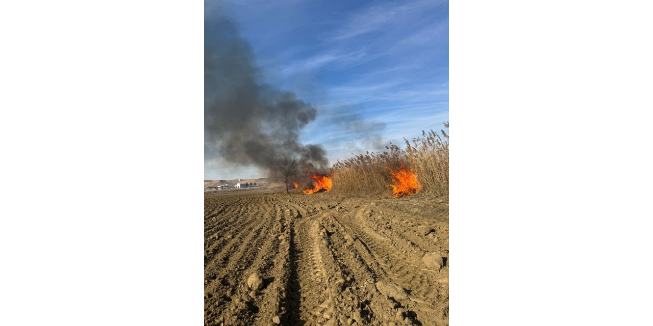 Batman’da sazlık yangını söndürüldü