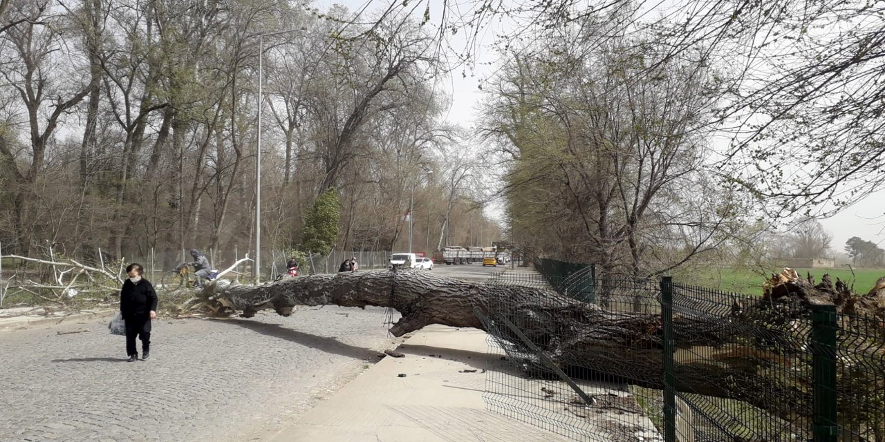 Kuzey Ege İçin ‘Fırtına’ Uyarısı