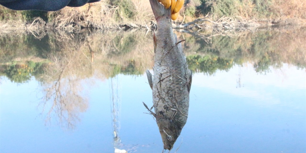 Ceyhan Nehri İçin 'Botulismus' Uyarısı: Sinir Sistemini Felç Edip, Ölümlere Neden Oluyor