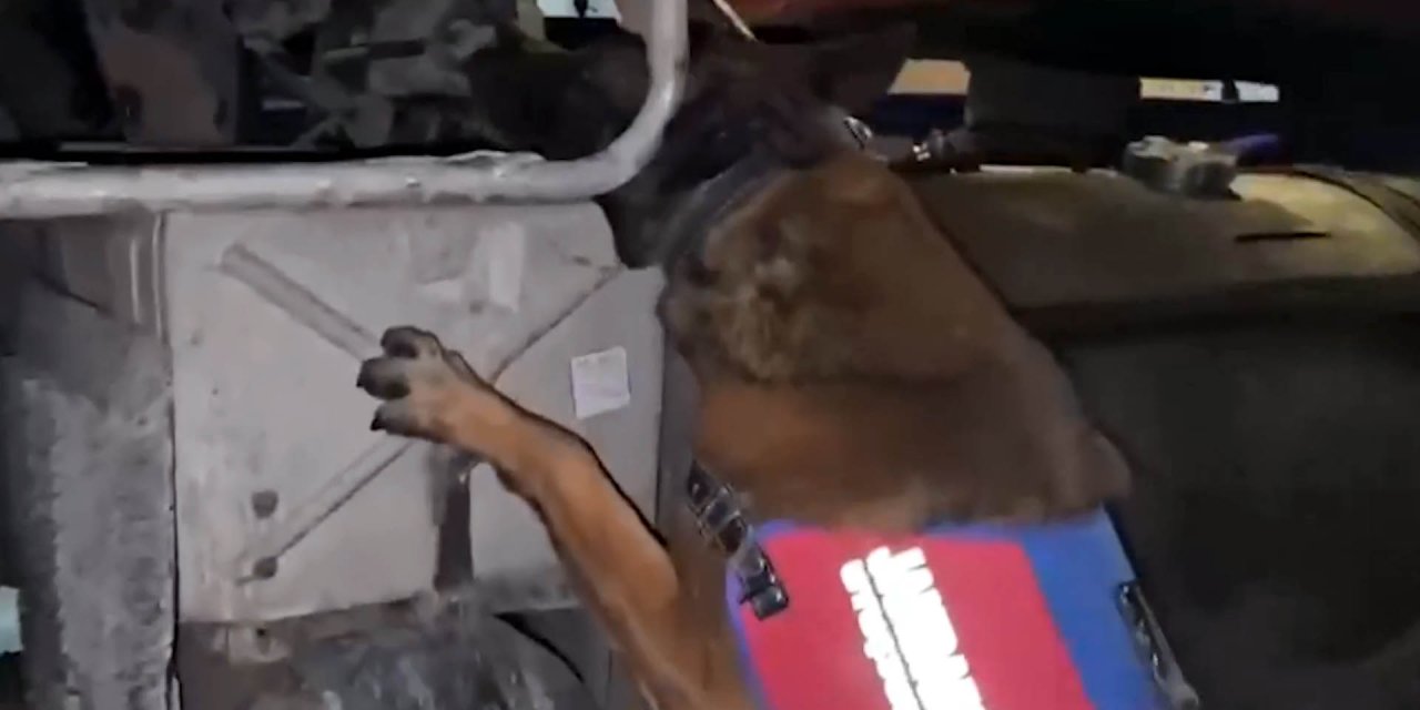 Hakkari'de 175,5 kilo esrar ele geçirildi: 2 gözaltı