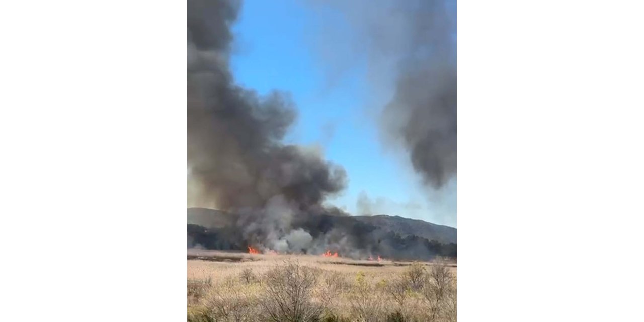Köyceğiz Gölü'ndeki sazlık alanda yangın