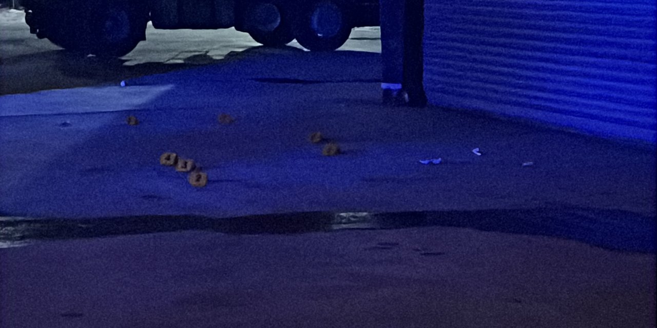 Trafikte tartıştığı damadını tabancayla vurdu