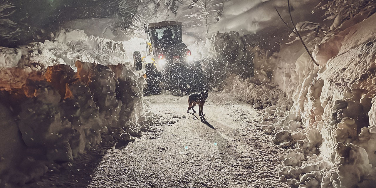 Rize’de kardan kapalı köy yolu sayısı 25’e düştü