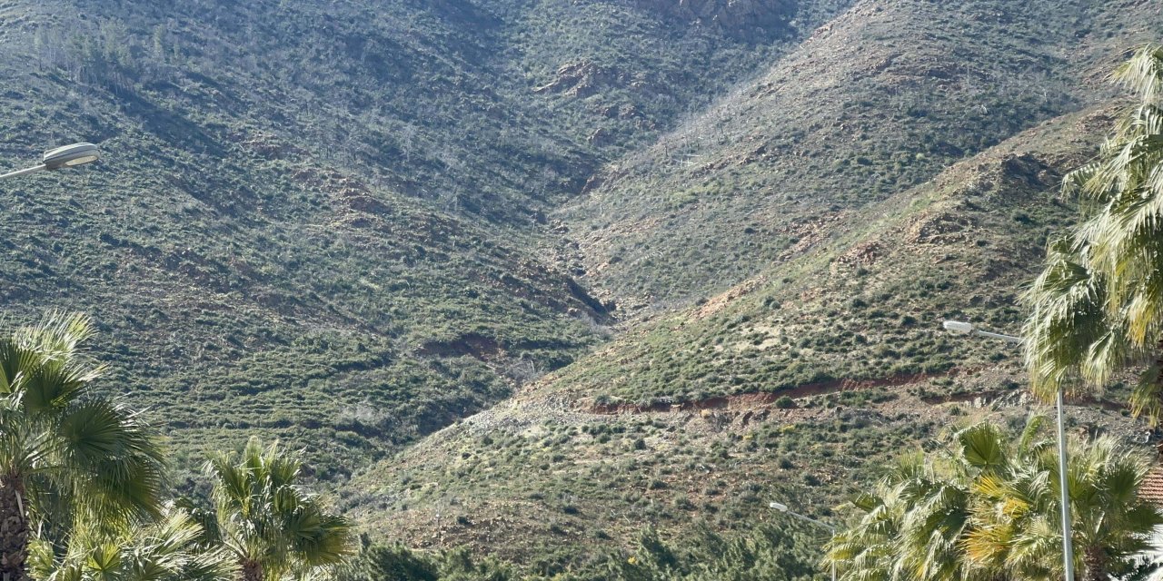 Marmaris'te Yanan Ormanlarda Fidanlar Boy Verdi