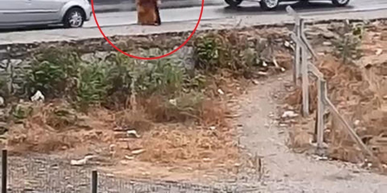 Kadına Kemerli Saldırı Kamerada