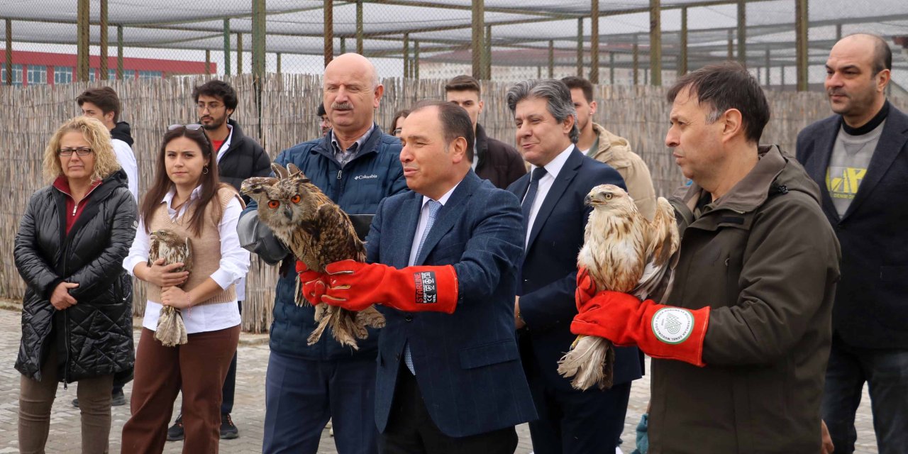 4 Şahin Ve 1 Puhu Dünya Yaban Hayatı Günü'nde Doğaya Salındı