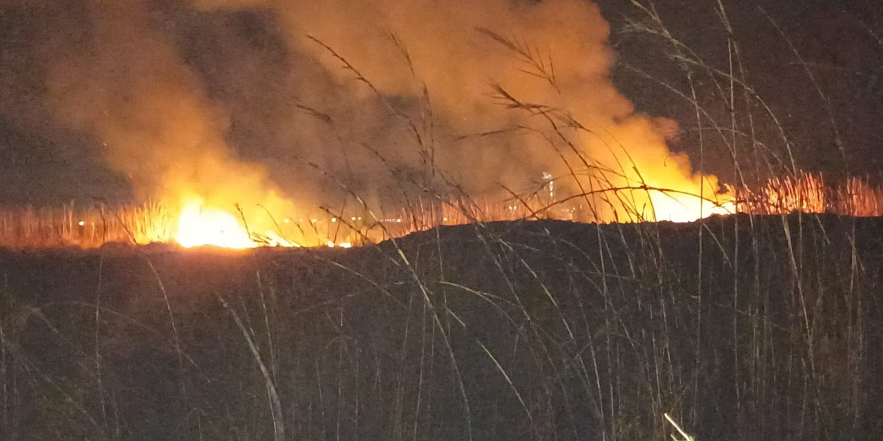 Hatay'da sazlık yangını söndürüldü