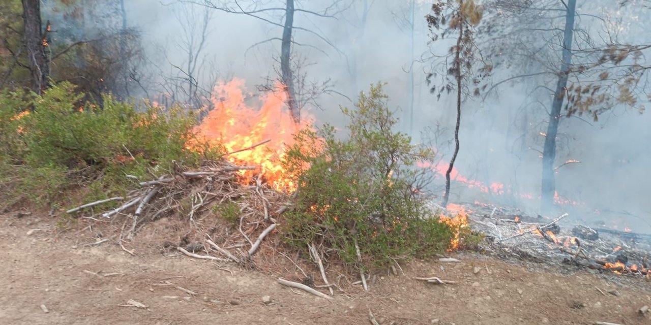 Adana'da 4 Dönüm Kızılçam Ormanı Yandı