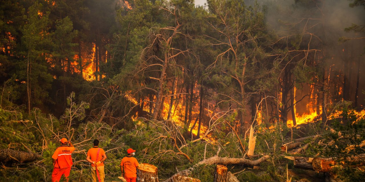 2024'te ihmal, dikkatsizlik, kasıt ve kazadan 1956 orman yangını çıktı