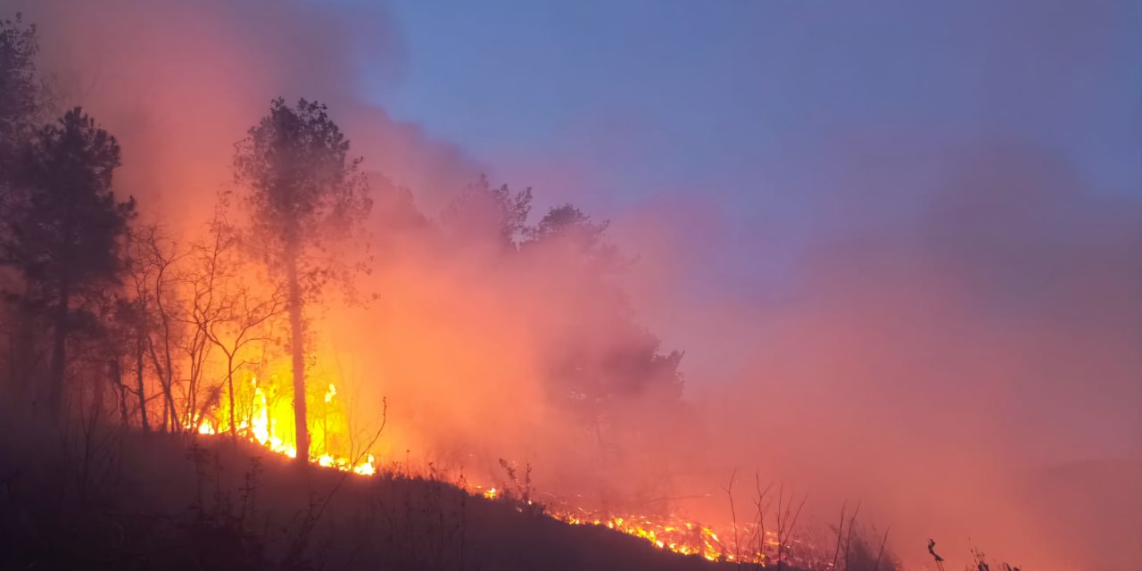 Hatay'da çıkan orman yangını kontrol altına alındı