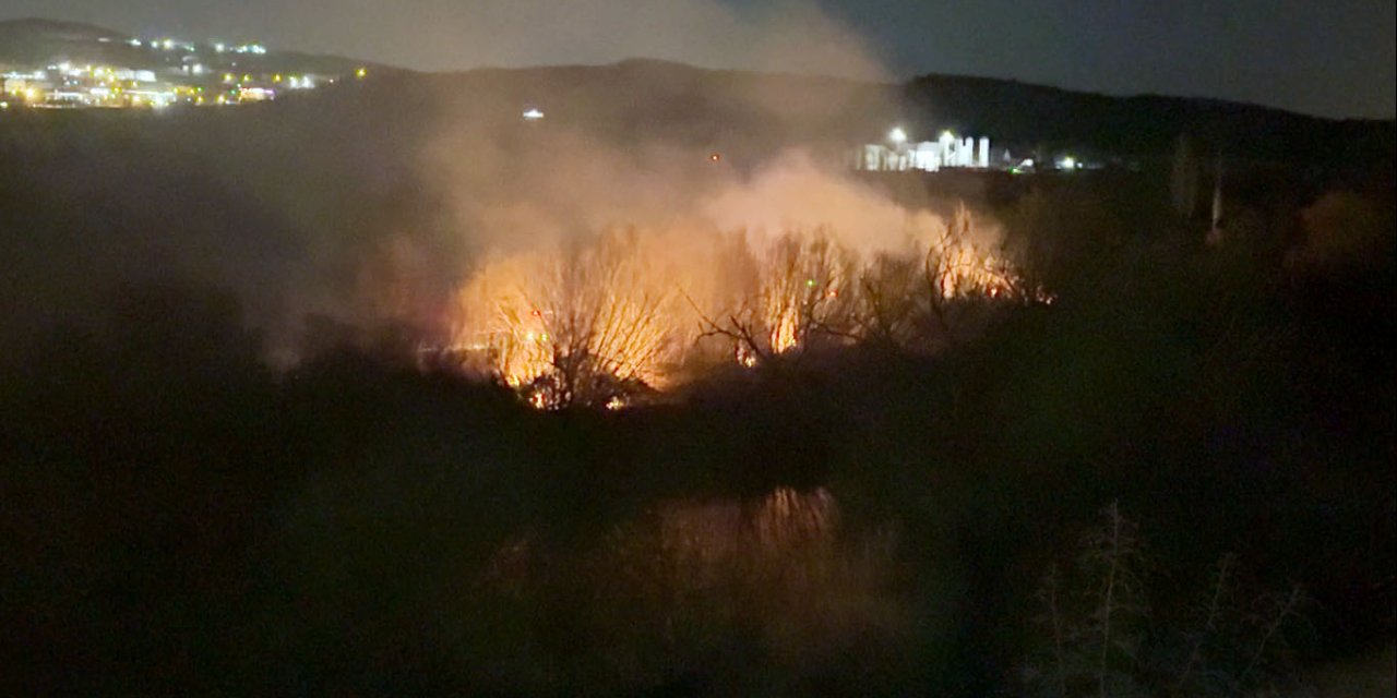 Kırıkkale'de, Kızılırmak Nehri'nin kıyısındaki 3 farklı noktada çıkan yangın söndürüldü