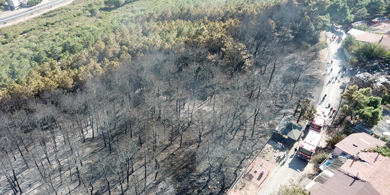 (Geniş Haber) Maltepe'de Orman Yangını