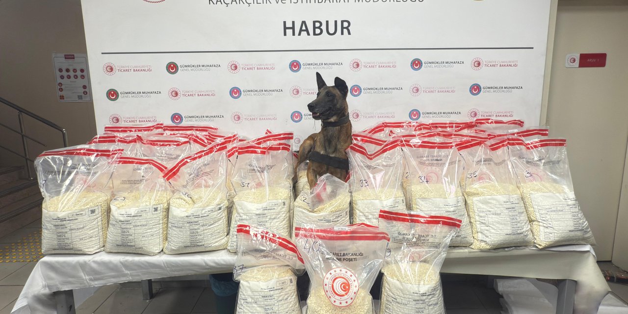 Gümrük muhafaza ekipleri, 2 ayda 8,1 milyar liralık ticari eşya ve uyuşturucu ele geçirdi