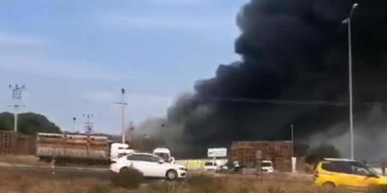İzmir'de Palet Fabrikasında Yangın