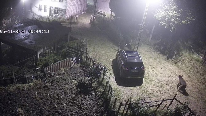 rizenin-hemsin-ilcesinde-yiyecek-arayan-bir-ayinin-evin-etrafinda-dolanma-anlari-mahallede-bulunan-bir-evin-guvenlik-kameralarina-anbean-yansidi-1.jpg