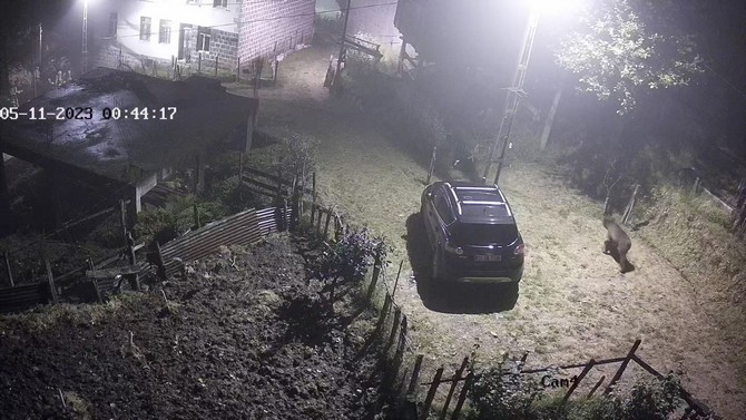 rizenin-hemsin-ilcesinde-yiyecek-arayan-bir-ayinin-evin-etrafinda-dolanma-anlari-mahallede-bulunan-bir-evin-guvenlik-kameralarina-anbean-yansidi-2.jpg